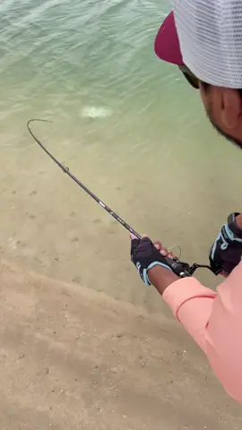 #fy #viral #fypシ #fish #fishing #gofishing #topwaterfishing #explore #اكبسلور 