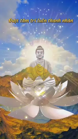 Cầu cho những ai Niệm Phật Thân thể luôn bình an Trí huệ luôn thanh nhan #loiphatday🙏 #loiphatday #phatphapnhiemmau #xuhuongtiktok #xuhuong #adidaphat🙏🙏🙏 #adidaphat #phatphap #phat 