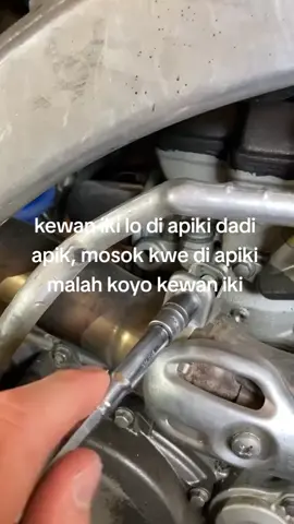 lolo gak bahaya ta#storywa 