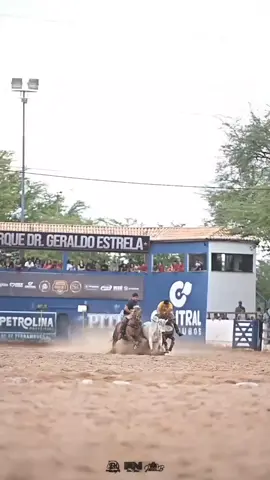 Diego de eliziario❌️shogun dash  gera guerra❌️etna cash stell  #portalvaquejada #shogundash  #SHOGUN #cavalo #cavalos🐴 #horse #tiktokindia #tiktok #foryou #viralditiktok #profyinfernooo👺 #capaloka 