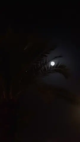 أنـت الوحيـــد إلي أنــا كنـت أغليــه…🥀                 #تصويري_تصميمي #قمر_الليل #مجيد_الاسلمي @مجيد الاسلمي #viral #fypシ #foryou #قلب_مليته_بتعب_وين_اوديه💔 #ابتعدت_عنك_رغم_اني_احبك_واغليك 