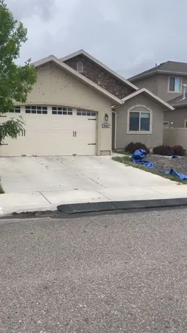 Burn the house down #mormoncrickets 