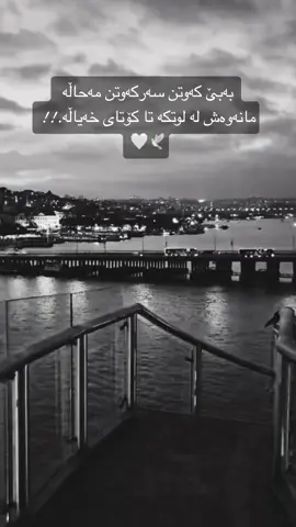#وتەی_جوان #fyp #keşfet #keşfetteyizz #butterfly #foryou #keşfetteyizzz #hardisalami 