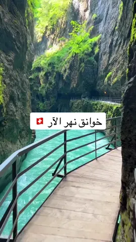خوانق نهر الآر في سويسرا 🇨🇭 🏞️ . خوانق نهر الآر جميلة جدا وتستحق الزيارة ومن اجمل الخوانق في اوروبا، قبل الذهاب لها يجب اخذ الحيطة بملابس دافئه. 🎥 @___denny85___  📍Aareschlucht🇨🇭Switzerland #سفر #رحلات #سياحة #طبيعة #سويسرا #ايطاليا  #خوانق #انترلاكن #زيورخ #جنيف   #aareschlucht #switzerland #inlovewithswitzerland #natgeo #europetravel #naturephotography #nature #river #switzerlandpictures #swiss #swissplanet #explore #reels #earth #beautifuldestinations #earthpix ‏