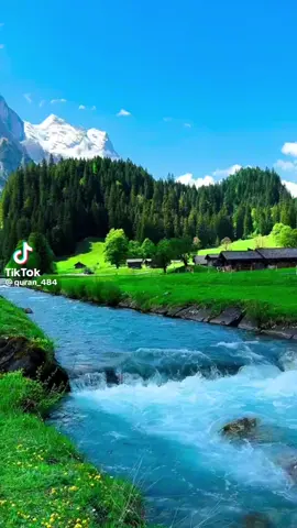 #القارئ_عصام_حمود 