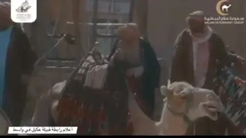 عـگيل وعز عگيل 🦅🫡 #قبيله_عكيل #السعودية #العراق #الخليج_العربي 