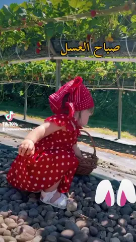 #صباحكم_أحلى_صباح #🙃☺️🥰🥰🥰❣️❣️🤞 