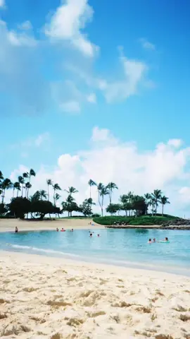 one of my better habits 😌 #filmdump 