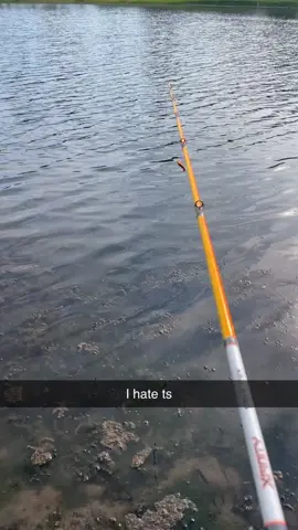 Ts for the birds tbh 🤷🏾 #fishing #fishtok #fishing #dcfishing #birdsnest 
