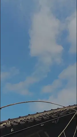 #CapCut setan kilere jutol isuk gon mu py lor#fyp #pelayangbanyuwangi #pelayangindonesia#pelayangtulungagung #fypシ゚viral #trending #viral #liriklagu 