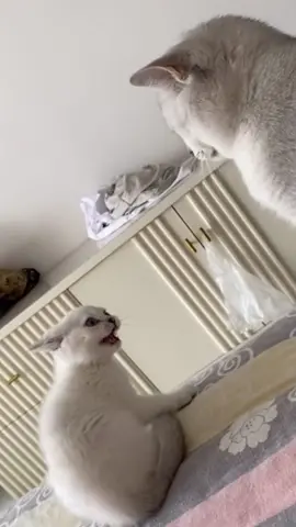 🤣