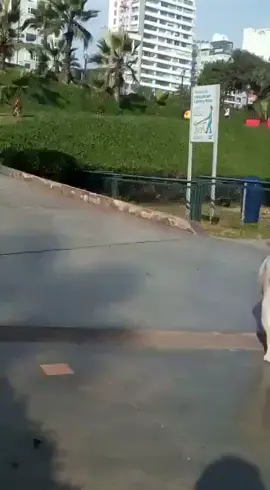 #heladosdonofrio😛🍦🍦🍦 😅🤣🤣