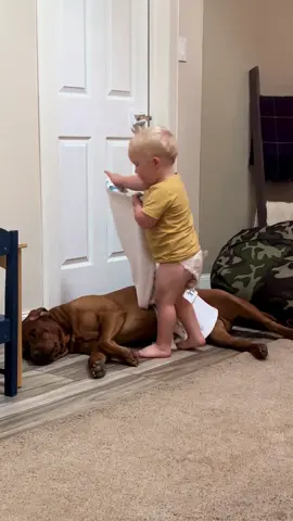 #BestFriends #aboyandhisdog #childhooddog #dog #toddler #dogsoftiktok #toddlersoftiktok #pets #PetsOfTikTok #labs #labradorretriever #foxredlab #puppy #baby #Love #iloveyou #lullaby #goodnight #kidsanddogs #sweet #tuckedin #fyp #foryoupage 