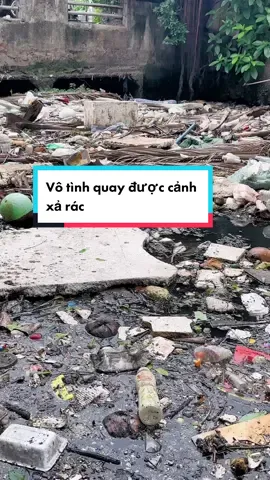 Vô tình quay được cảnh xả rác, nhìn các em thiếu nhi trong clip ngắn này các bé rất có ý thức trong việc bảo vệ môi trường #xuhuong #khatvongxanh #fly #ngocchau  @Ngọc Châu 
