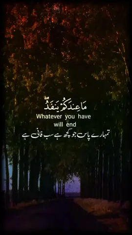 Holy quran recitation with urdu english translation #quran #urdu #beautifull #emotional #abdul #rahman #mossad #عبدالرحمن_مسعد 