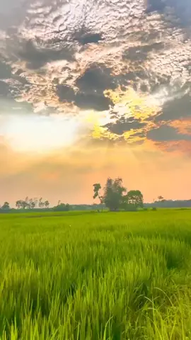 Một buổi chiều chill chill#khungcanhthonque #khungcanhtunhien #cảnhđẹpviệtnam #capcut_edit #capcut #xuhuongtiktok #edit #str #videochill #chill #storytamtrang 