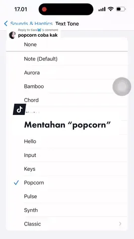 Replying to @tiara🦋.   . . . #sound #notification #popcorn #whatsappnotification #sounds #soundviral #soundeffects 