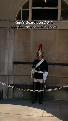 #foryoupage  #tiktokviral #viraltiktok #viralvideo #videoviral #follow #subscribe #like #share #bestvideo #fypviral #donottouch  #horseguardsparade #changingoftheguards #royalguards #thekingsguards #kingsguard #kingshorse #fyp #foryou #fypシ #fanpage #tourists #london 