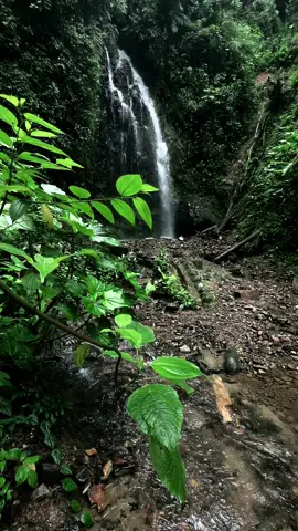 🇪🇨🏞️Lo que no encuentras en las personas te da la naturaleza. Cascada Macabeita-Macas  . . . . . #amorproprio #goodvibes #feliz #espiritualidade #s #deusnocomando #saude #nature #foco #photography #motiva #sol #espiritualidad #esperan #autoconhecimento #yoga #energia #es #sabedoria #cristo #fotografia #like #os #sucesso #amorpropio #tbt #god #m #ncia #cascada 