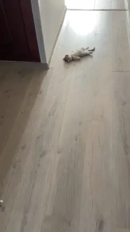 Говорят она до сих пор там лежит😂