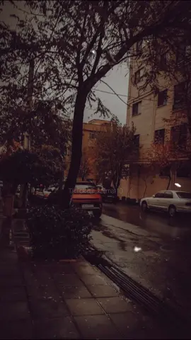 الحمدلله🤍.                                                #اقتباسات  #اكسبلور #explore #كلمات  #خواطر_من_القلب #تحفيزات_إيجاب #كلام_إيجابي_يغير_النفسيه #اقتباسات_هادئه   #اقتباسات_قصيره_ذات_معنى_عمیق  #اقتباسات_عبارات_خواطر #كلام_من_القلب  #اقتباسات_جميله#دعاء_يريح_القلوب#دعاء_جميل_يريح_القلب💔🙏 #دعاء_يريح_القلوب_ويطمئن_النفوس#كلام_يريح_النفسية#خواطر_راقيه#اقتباسات_عميقة_عن_الله #كلمات_تلامس_القلوب #قرأن_كريم_راحة_نفسية#كلام_جبر_الخاطر 