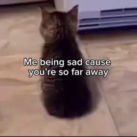 I miss him #fyp ##foryou #Relationship #boyfriend 