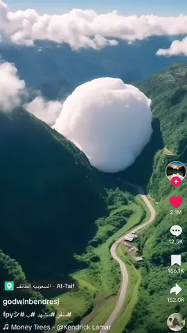 If this is what the monstrosity wishes. So be it! @godwinbendresj #cookout #council #willywonka 