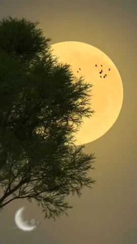 #fyp #scenery #moon #beautiful 