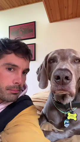 Me ama y no lo pienso discutir con nadie 🫢🐶🤣🤷🏻‍♂️ #mascotas #viral #foryou #parati 