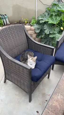 One funny #fyp #foryoupage #funny #desirishtedar #punjabi 