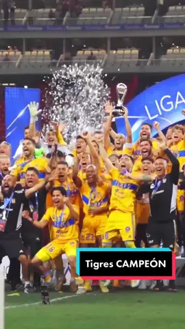 Al principio dudaron del grupo 👀 y al final terminaron levantando el título de la Liga MX 🇲🇽 Lo que hizo @Club Tigres Oficial fue impresionante 🔥 Nahuel Guzmán y André-Pierre Gignac ya tienen 5️⃣ 🏆 con el club 🐯 #tigres #gignac #nahuel 