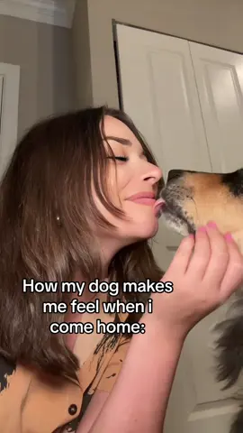 He got me feeling like a million bucks #dogsoftiktok 