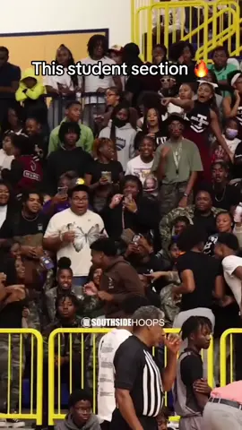 This high school team has an elite student section 🔥 @SouthsideHoops 