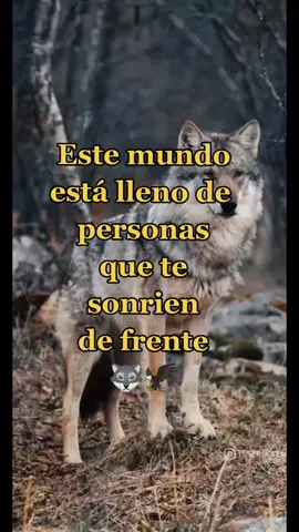#frases #reflexiones #con💘amor🐺🦅 #parati #wolf #🐺🦅 #🐺 #motivacion #latinosunidos🐺🦅 #🍀❤️ 