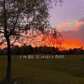 🙈#quebello#flyy #viral #dedicar  #yyoquetedeseoamorir💞🎵🎶🎵💞  #paratiiii #music #CapCut #estadosparawhatsapp 