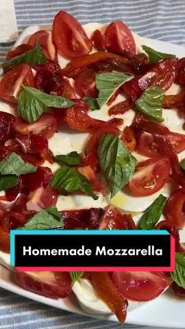 Homemade Mozzarella #mozzarella #fiordilatte #cheeselover #cheesemaking #caprese #FoodTok #cheesetok #cookingathometiktoktv #Recipe #yummy #deliciousfood #italian #italianamerican #foodiesoftiktok #tomatoes 