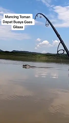 Dikirain nyangkut😱#castinger #pemancing #engler #buaya🐊 #ikanpredator #ikantoman #mancingmania #mancingmaniamantap #mancingikan #viral #fyp 