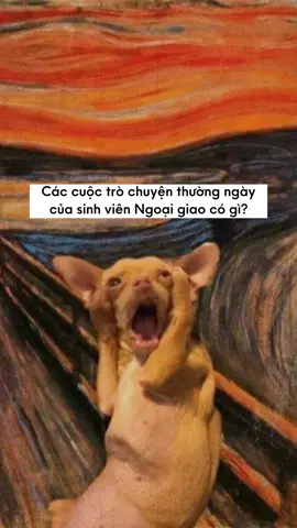 nói chung cũng nhàn #dav #hocvienngoaigiao #tuhaodasac 