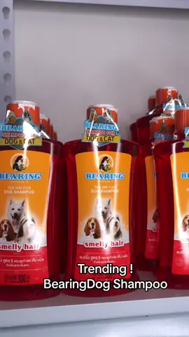 Trending bearing dog shampoo ! Check out na 🥰 #dogshampoo #bearingdogshampoo #smellyhair #fypシ゚viral #dogs 