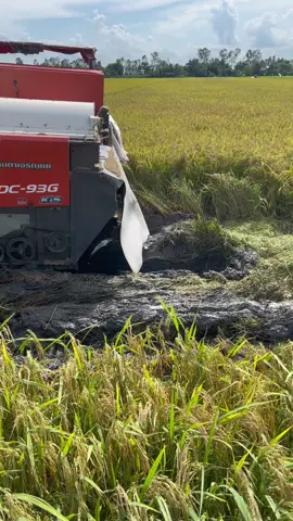 Máy cắt thì mắc lầy cộ thì rớt bánh răng chán thiệt chứ #xuohuongtiktok #dc93บ้าพลัง #saocheplienket 