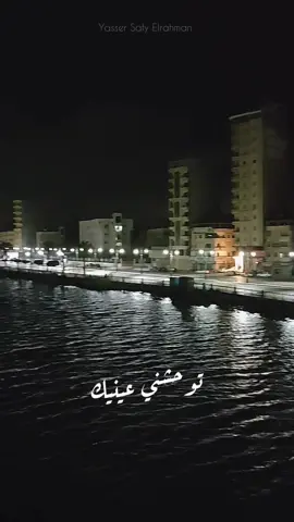 بتونس بيك.. وانت معايا ❤️