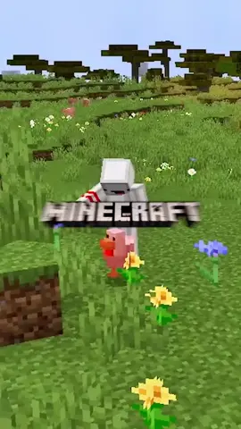 Minecraft, But I Shapeshift Mobs! - Minecraft, But I Can’t Touch The Color Grey!