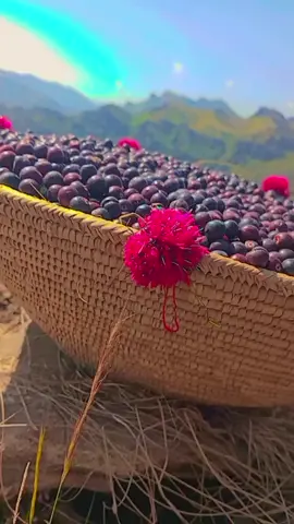 #gdlfamily #foryou #CapCut #foryou #foryou             See more    🇵🇰❣️🇦🇫