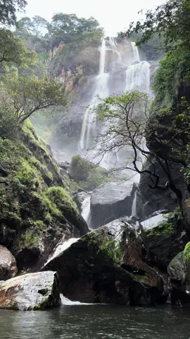 PART 2 : shoestring Travel Budget 50,000 Tshs ( $25) Sanje waterfalls Entrance 5900 adult / 2300 kid Guide 5000 Camping 5900 Tent 30,000 ( easy if shared)  Night guide for camping 5900 For southern tourism all eastAfricans pay the same as Tanzanian Citizens. Tents are rented but you can come with your own, food and drinks are your extra costs but still very affordable ( there is a restaurant)#tanzaniaunforgettable #udzungwanationalpark #shoestringvacation #sanjewaterfall 