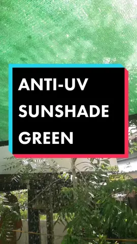 SUNSHADE ANTI-UV NET GREEN NET #antiuvsunshadenet #sunshadenet #buy1take1  #tiktokpracticalproducts 