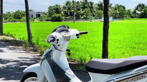 Fu neo dọn full xe tại 268 #xedovietnam #62l1 #funeofi125 #foryou 