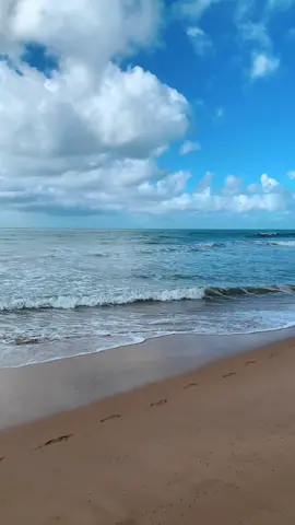 som do oceano 🔈🌊 #mar #wavesounds #relaxingvideos #blueocean #tropicalbeach #naturezabrasil #azul #praiasbrasileiras #praia   