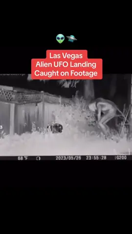 Unbelievable Encounter: Astonishing Footage of a 8-10 Foot Alien Being in a Local Las Vegas Backyard 👽🛸 #VegasAlien #UFO #alien #ovnis 