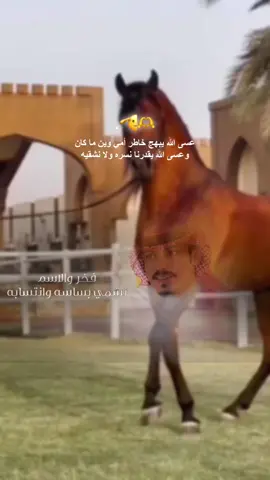 #اكسبلور #ترند 