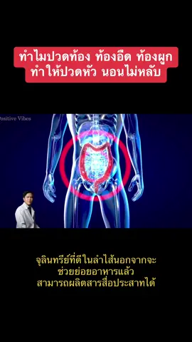 ทำไมปวดท้อง ถึงนอนไม่ค่อยหลับ ?? #ปวดท้อง #ท้องผูก #นอนไม่หลับ #ปวดหัว #โพรไบโอติก #หมอต้น 